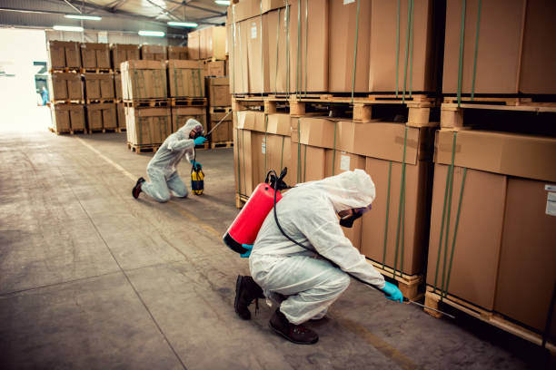 Chesapeake, VA Pest Control Pros