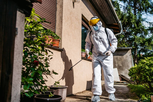 Best Bed Bug Extermination  in Chesapeake, VA