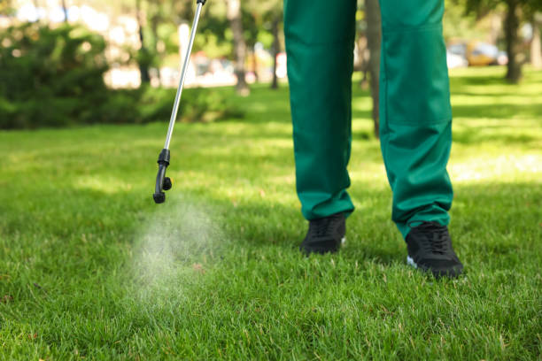 Best Best Pest Control Companies  in Chesapeake, VA