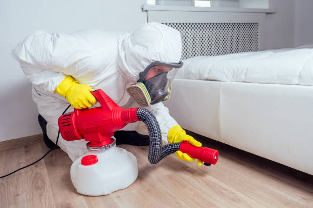 Best Mosquito Control Services  in Chesapeake, VA
