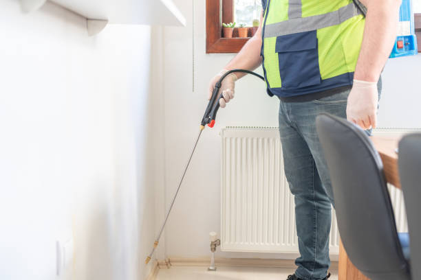 Best Affordable Pest Control Services  in Chesapeake, VA