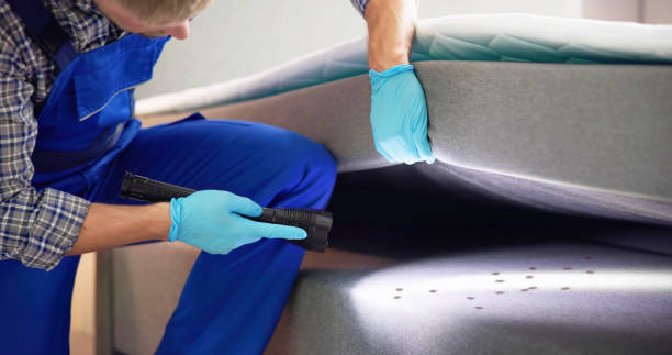 Best Affordable Pest Control Services  in Chesapeake, VA