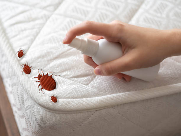 Best Pest Inspection Near Me  in Chesapeake, VA