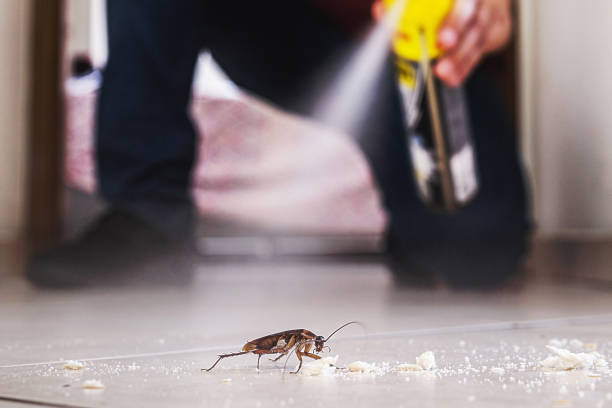 Wildlife Control Services in Chesapeake, VA
