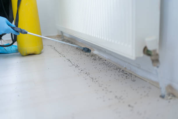 Best Commercial Pest Control Services  in Chesapeake, VA