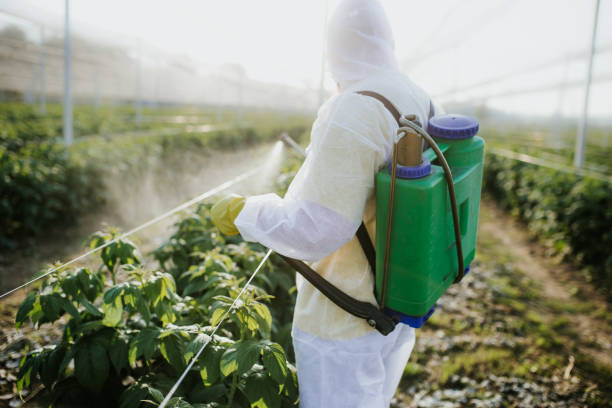 Pest Control Cost in Chesapeake, VA